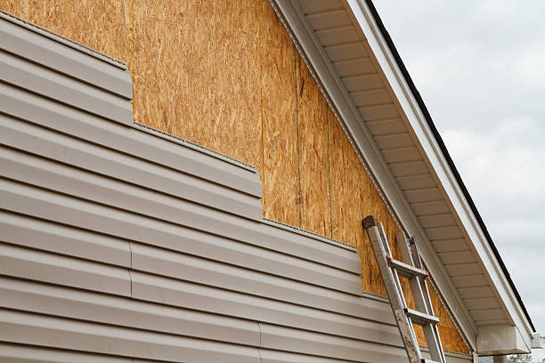 Professional Siding Inspection technician working in Oldtown, MD